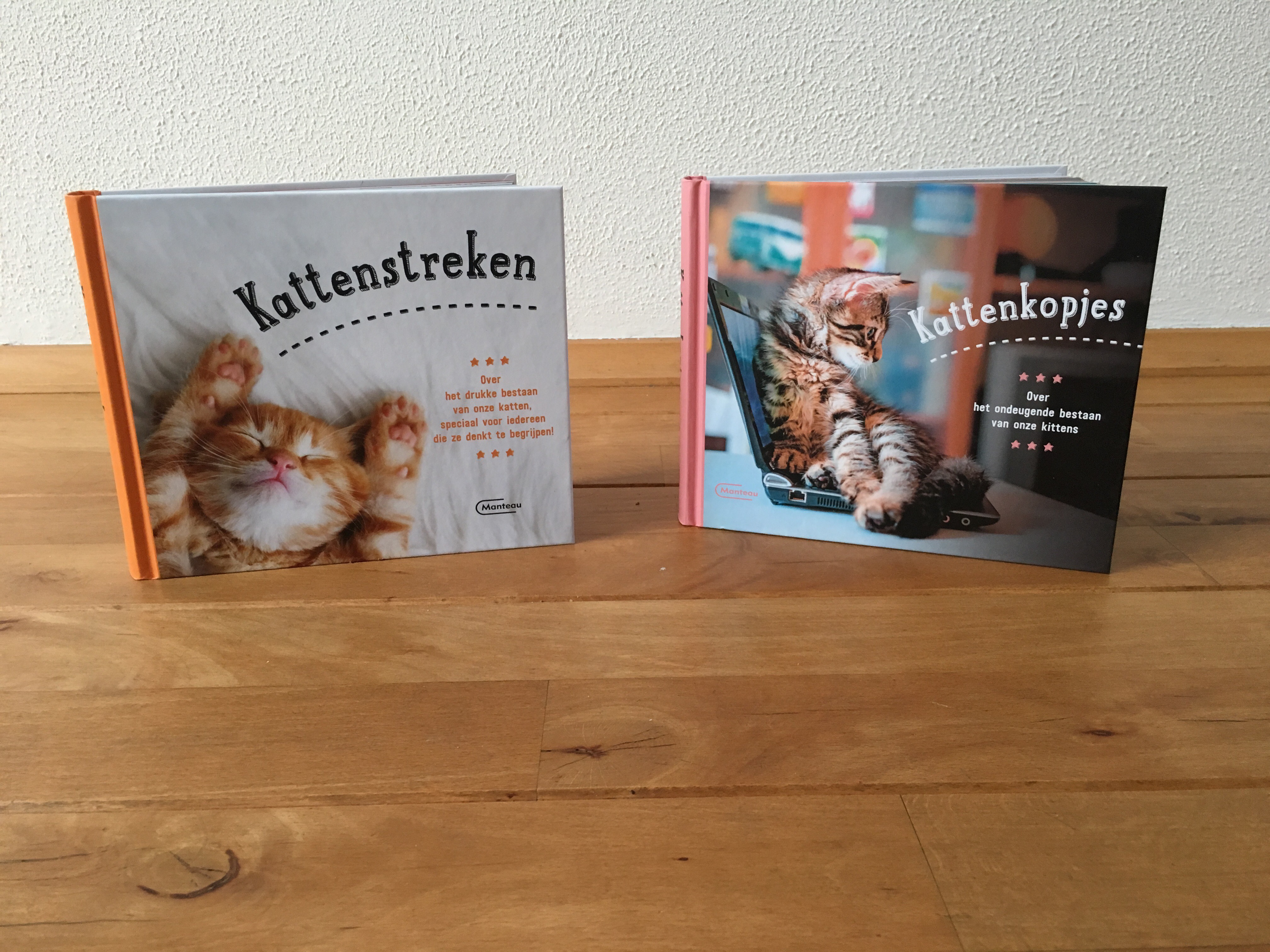 Kattenkopjes en Kattenstreken: offline je kattenverslaving voeden