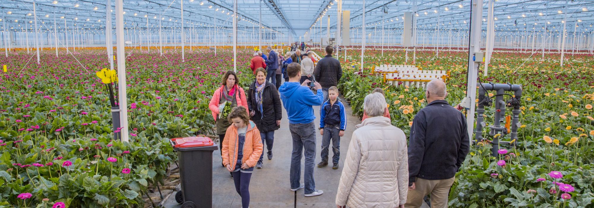 Gratis dagje uit voor het hele gezin- ‘Kom in de Kas’