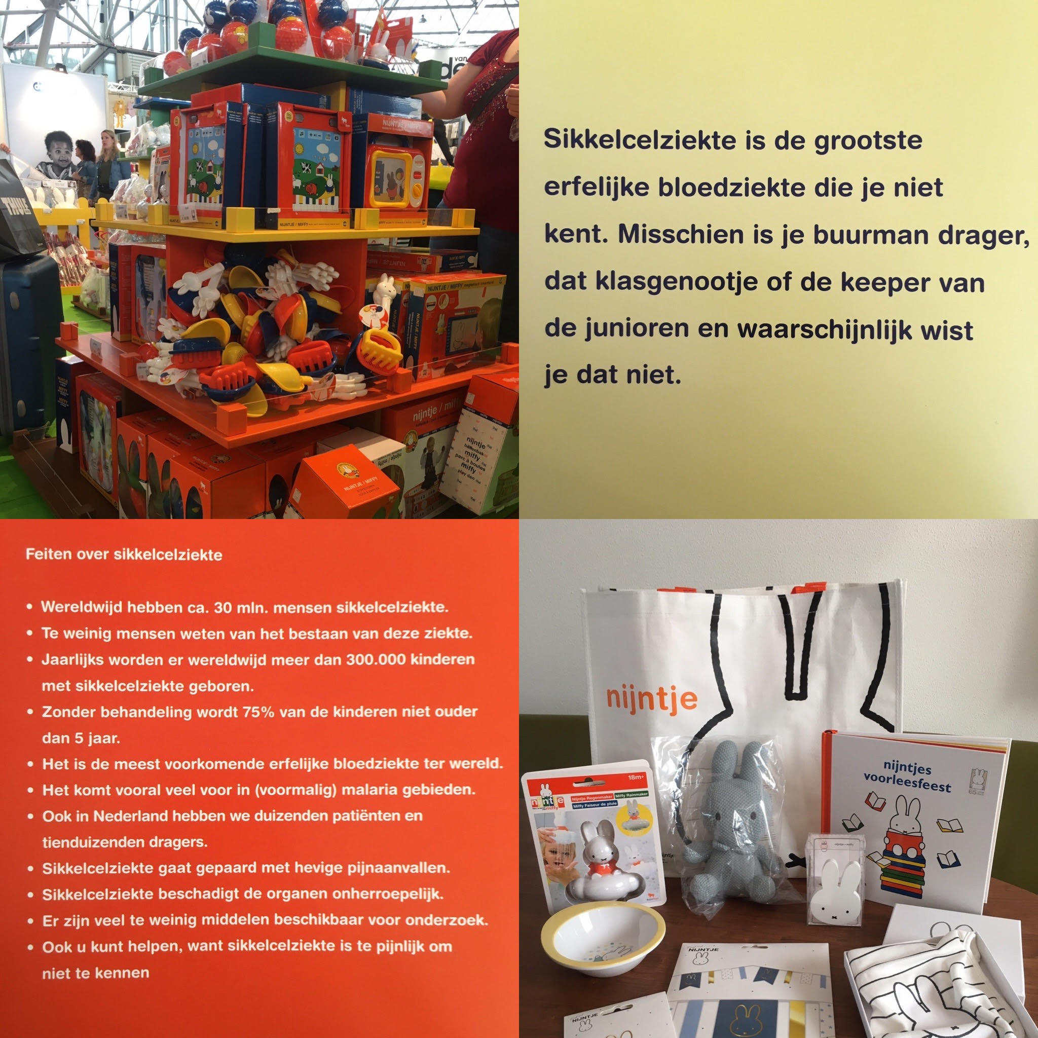 Nijntje sikkelcelziekte