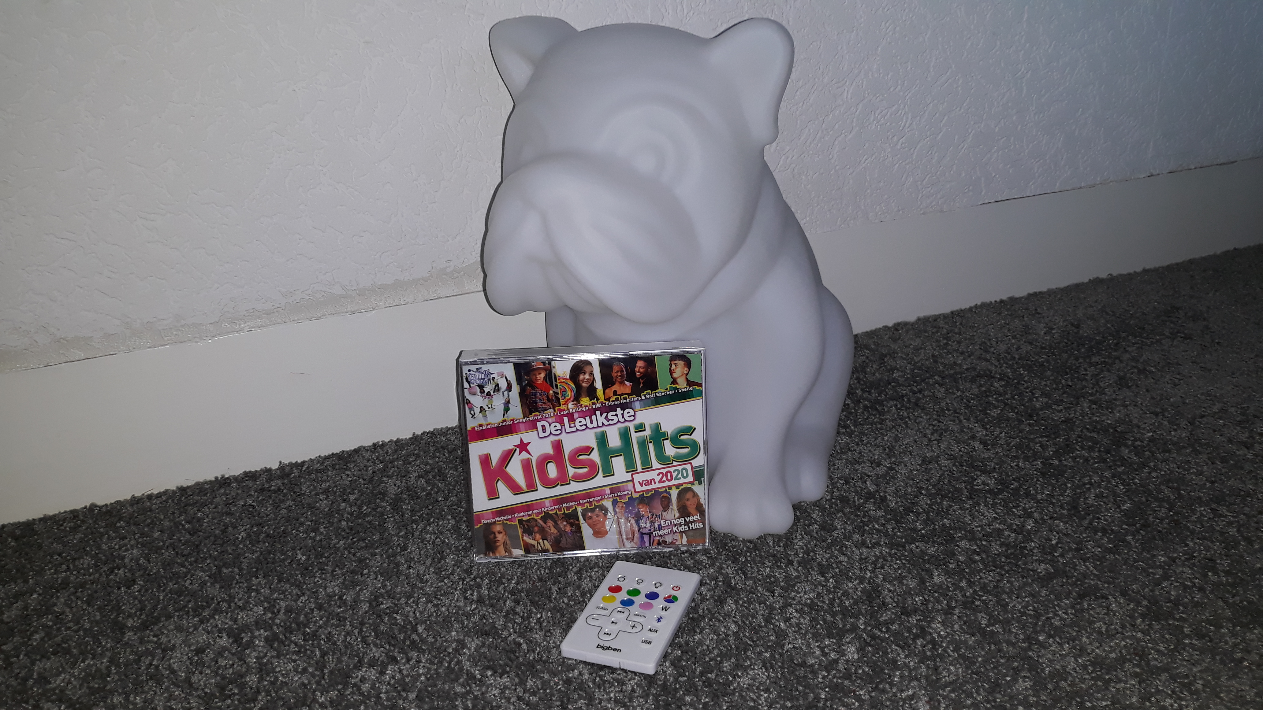 De Leukste Kids Hits van 2020