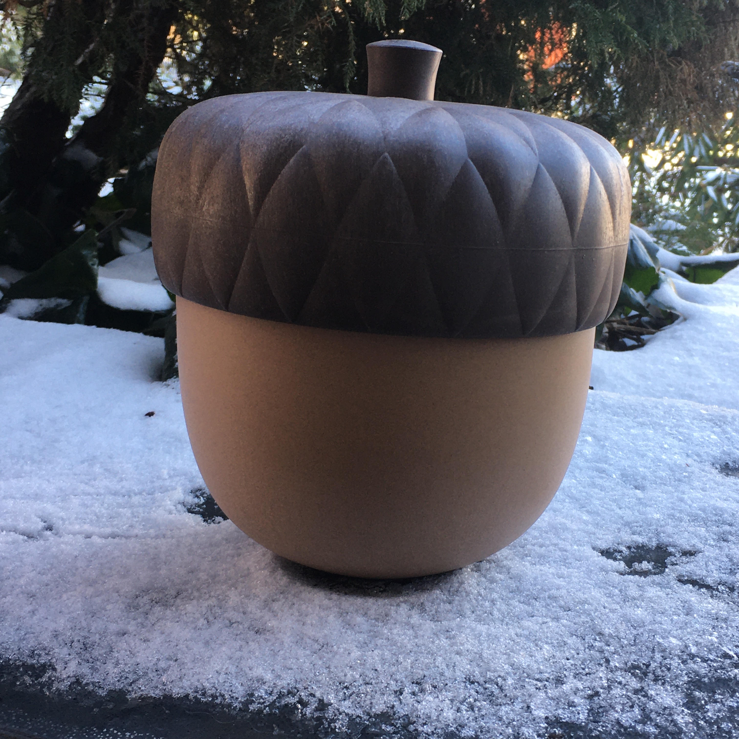 Eikel opbergbox voor kleine rommeltjes