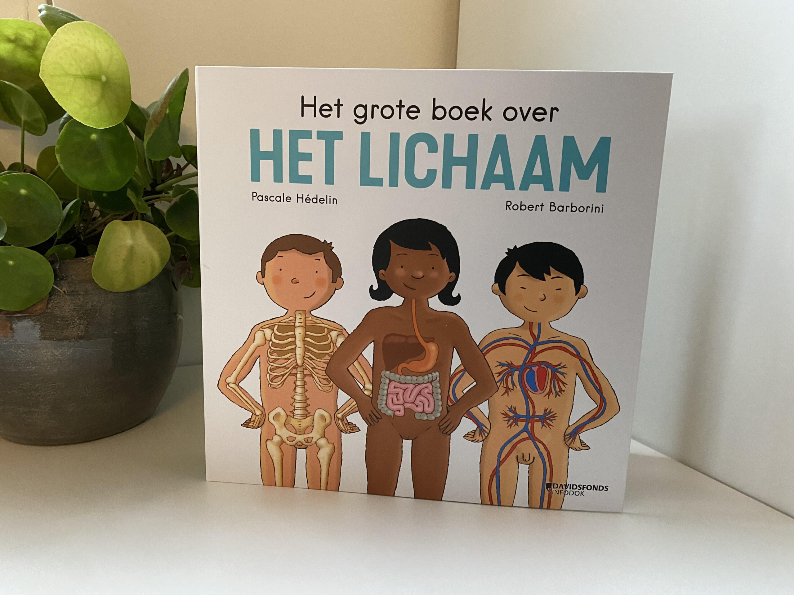 Het grote boek over het lichaam