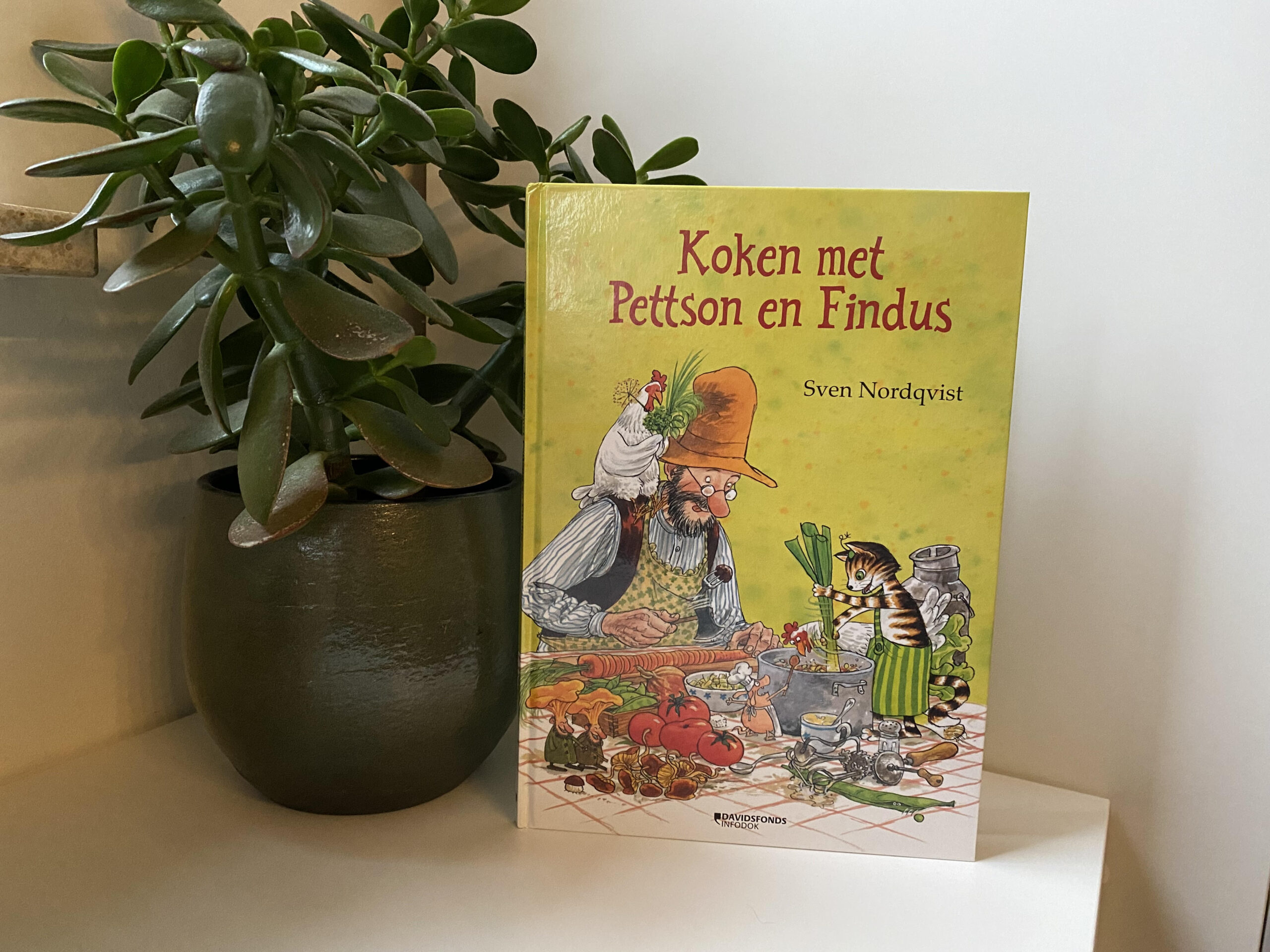 Koken met Pettson en Findus van Sven Nordqvist