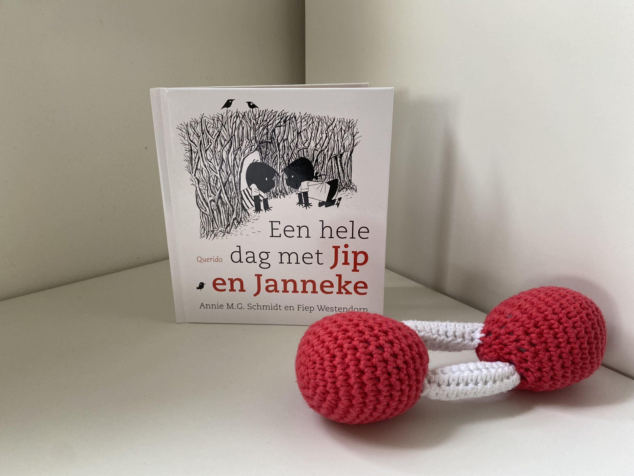 Een hele dag met Jip en Janneke