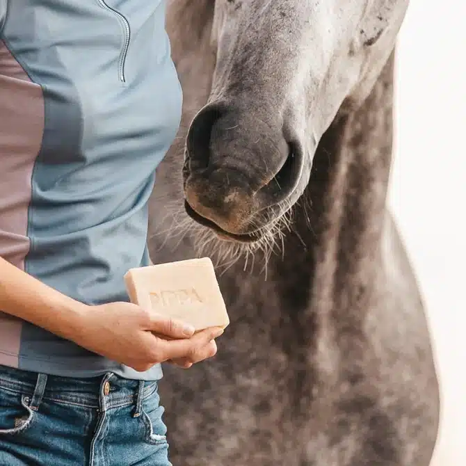 Maak elke dag een verschil met PIPPA Equestrian Soap!