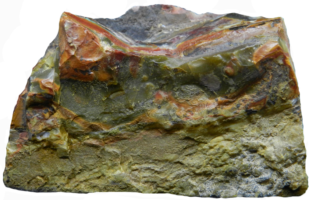 Image of underside of Indonesian Petrified Wood with the background removed