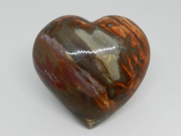 Petrified Wood Jasper Heart