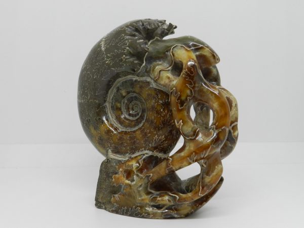 Carved Ammonite Sculpture