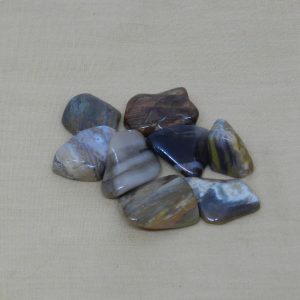 Fossilised Wood Tumblestones