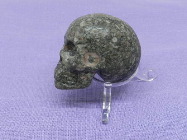 Snakeskin Jasper Skull