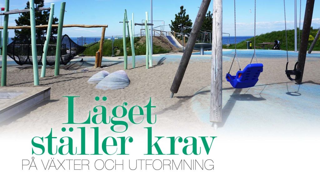 Läget ställer krav på växter och utformning