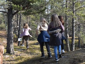 Lilla Naturstigen i Farmarkilen