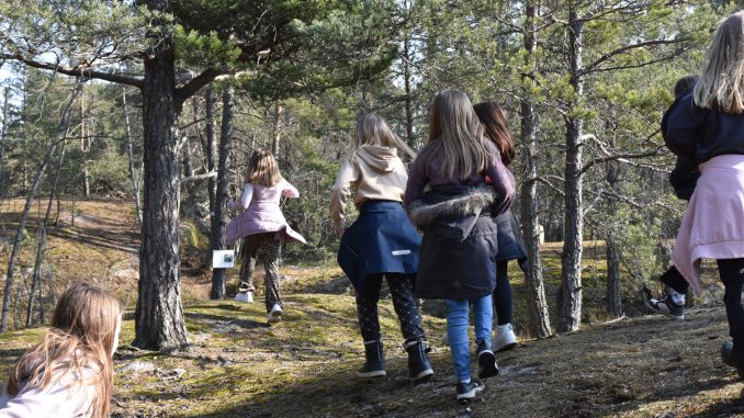 Lilla Naturstigen i Farmarkilen