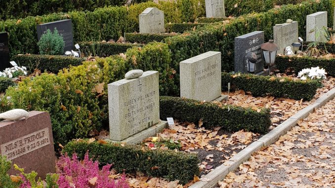 TL2208notis2 Vikten av växtval särskilt när det kommer till häckar är viktigt på en kyrkogård. Detta och mycket annat kommer att vara i fokus på Have & Landskab 2023. Foto: Nygaards Planteskole