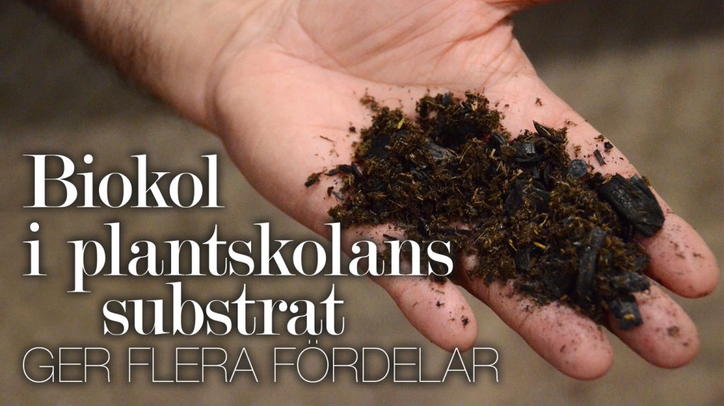 Biokol i plantskolans substrat ger fler fördelar