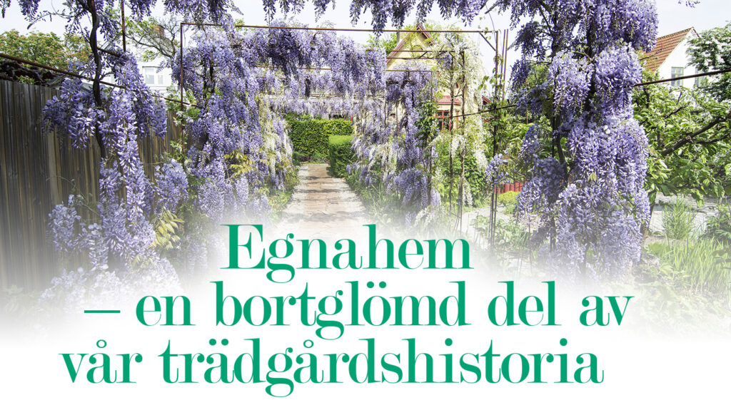 Egnahem – en bortglömd del av vår trädgårdshistoria