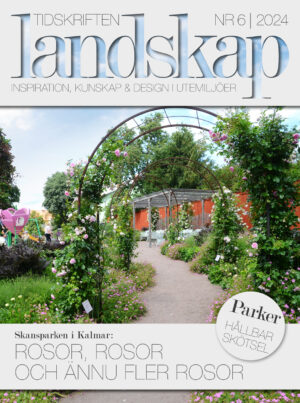 Framsida av Tidskriften Landskap nr 6 2024