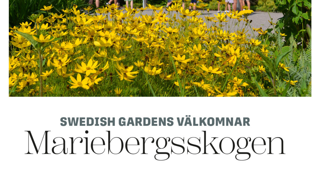 Swedish Gardens välkomnar Mariebergsskogen
