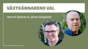 Växtkännarens val
