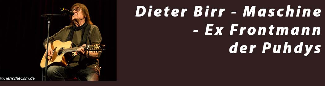 Dieter Birr - Ex Frontmann der Puhdys