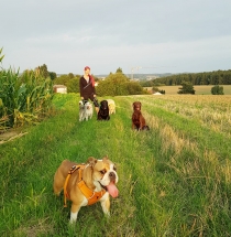 Hundebetreuung Hundepension, Hundesitter Pfaffenhofen