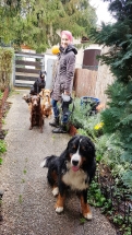 Hundebetreuung Hundepension, Hundesitter Pfaffenhofen