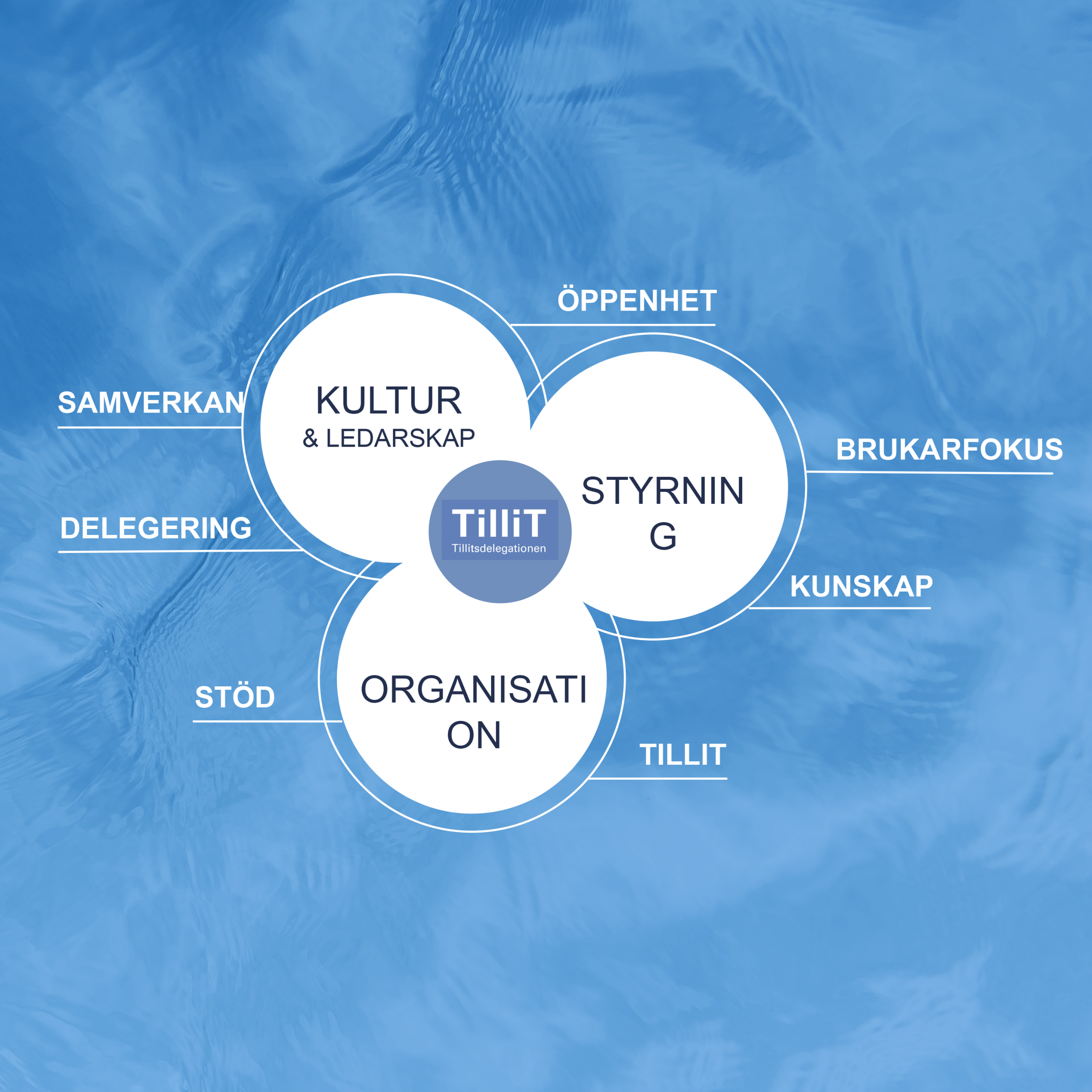 kultur copy