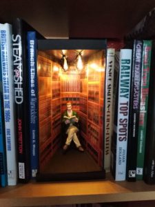 Book Nook Diorama, Book Shelf insert. Kitsch Garden gnomes. Daisy LED fairy  lights.