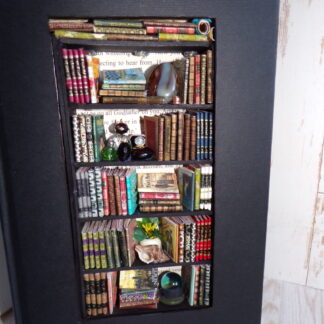 Book Nook, Booknook Diorama Miniature, Bookshelf Insert, LED Lights,  Library Bookcase in a Book, Book Lovers Gift. 