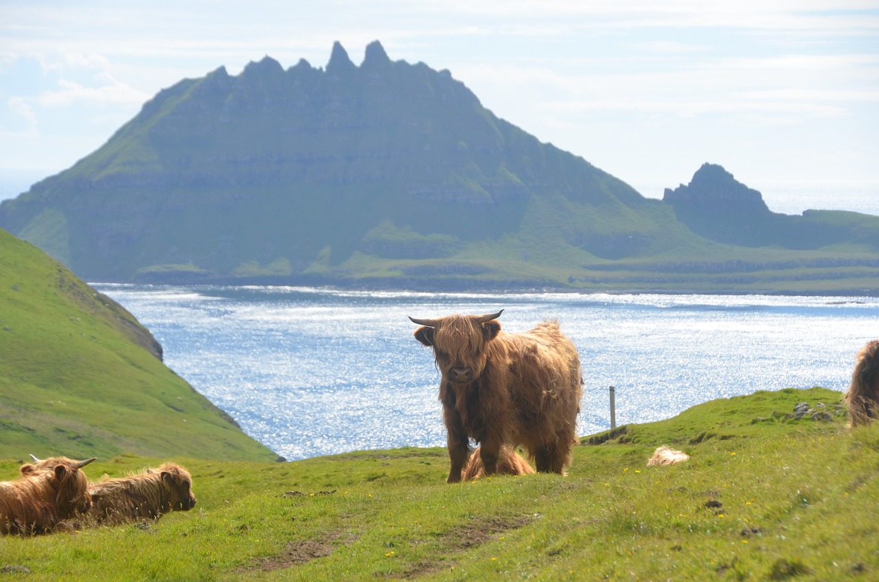 Færøerne's betagende natur og dyr