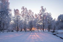 Winter day in November