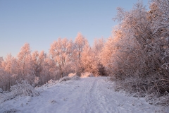 Winter day in November