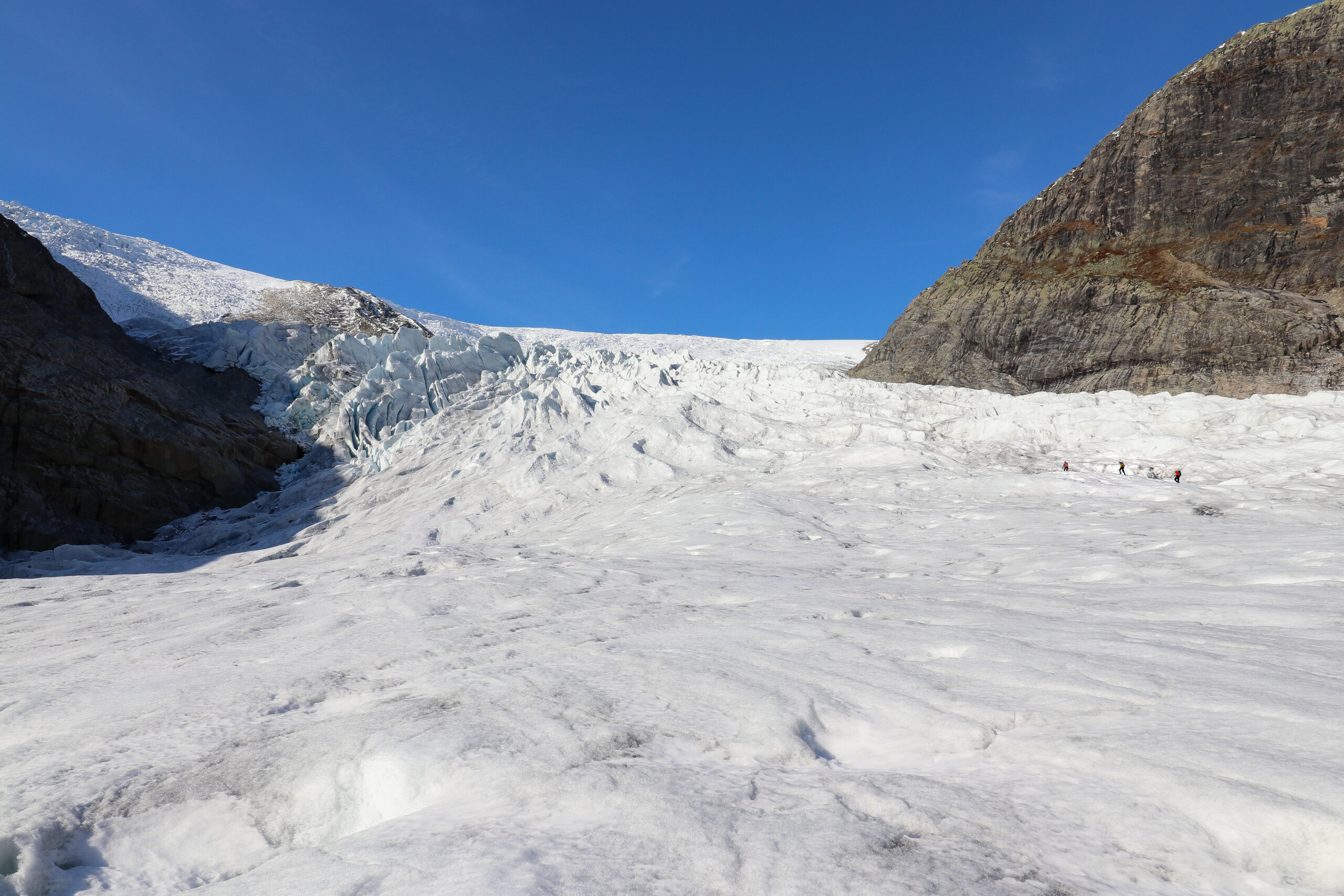 Nigardsbreen