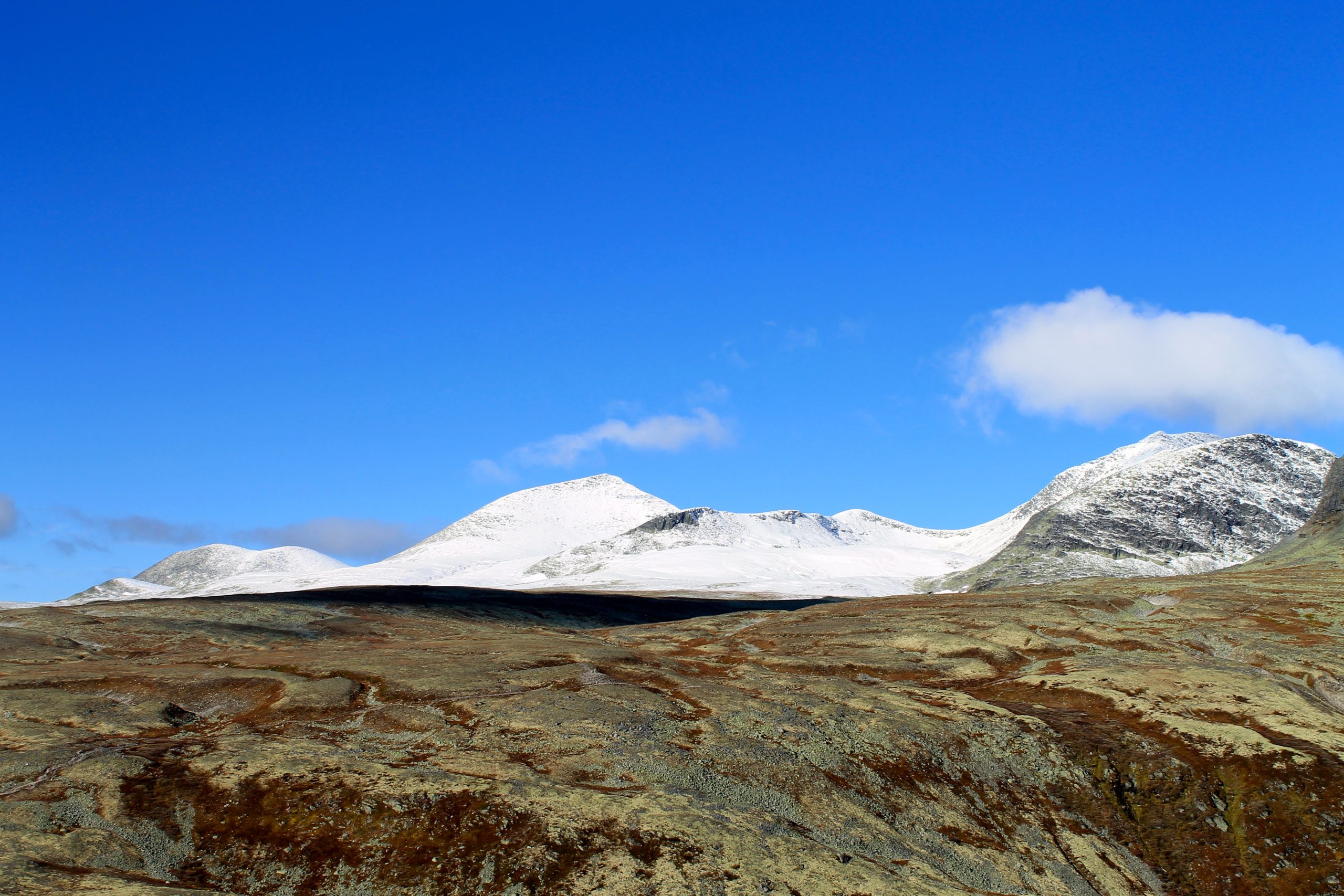 Høsten har mange fine farger og kontraster. Her fra Rondvassbu i Rondane. Rondane