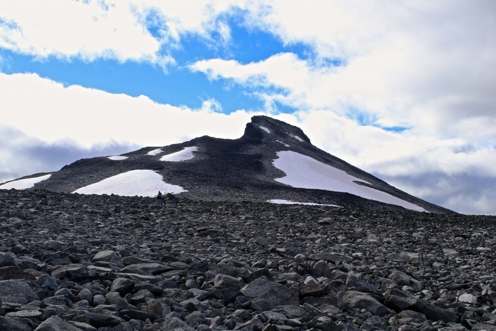 Toppen av Ryggjehøe (2.142 moh).