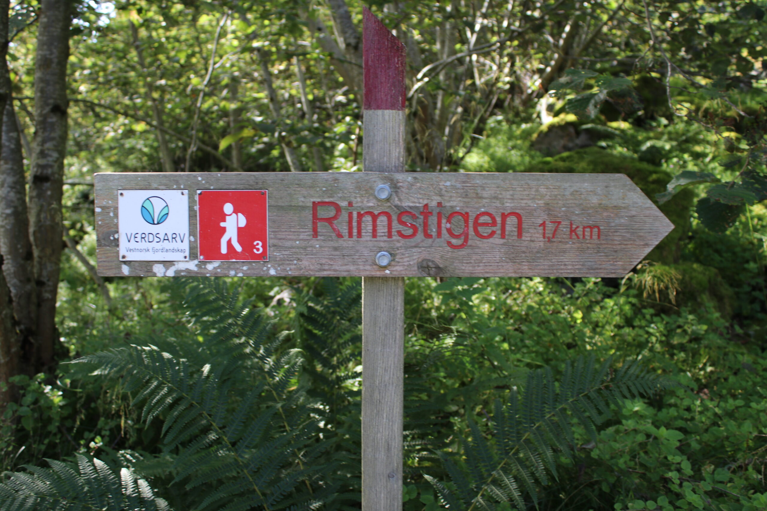 Rimstigen strekker seg opp til 1.300 moh. I 2009 ble Rimstigen restaurert og er siden blitt vedlikeholdt. Rimstigen
