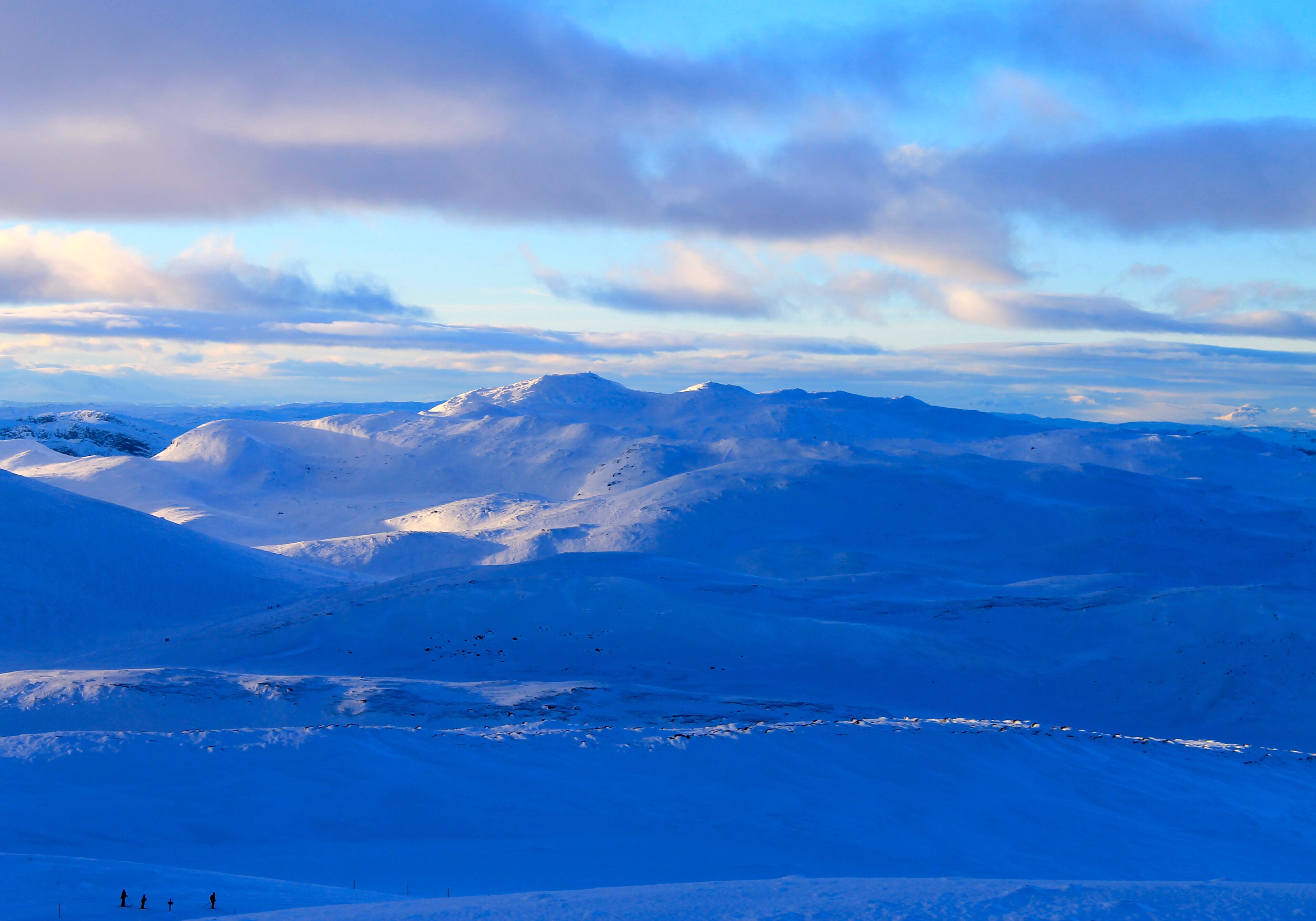 Norefjellsryggen mot Gråfjell sett fra Høgevard.