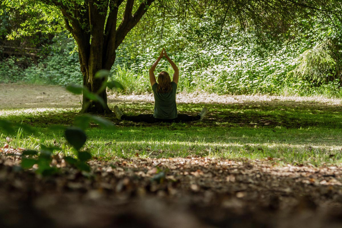 Om Tines - Tine i symbiose med naturen