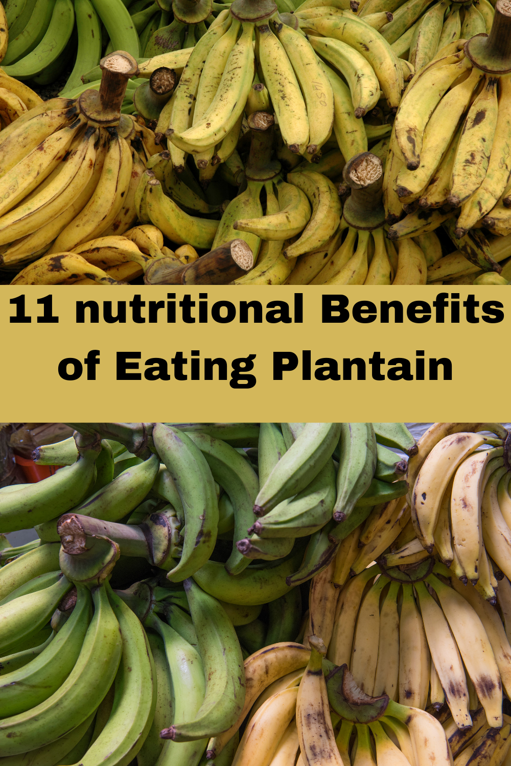 benefits of plantain