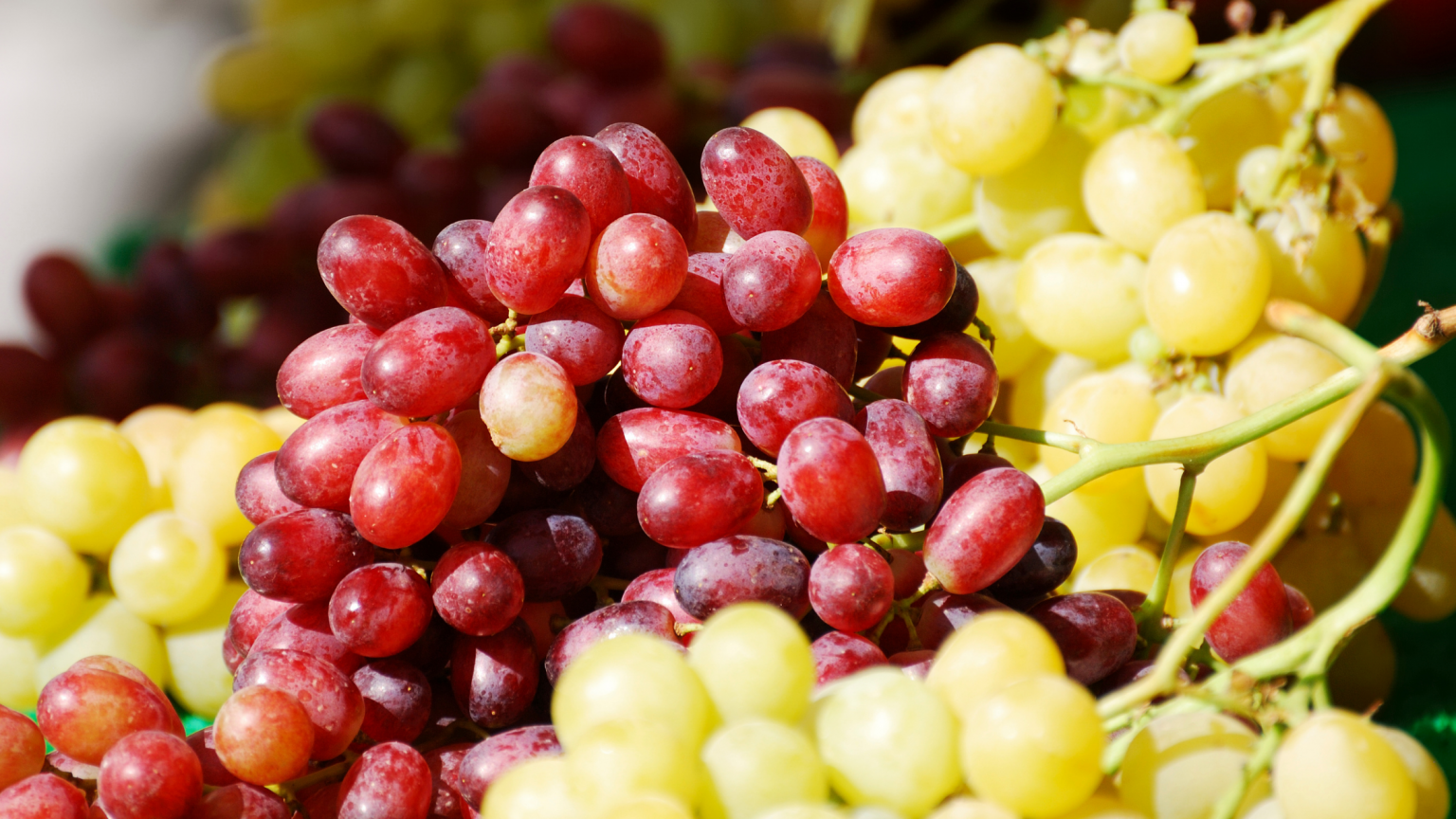 11 Amazing Health Benefits of Consuming Grapes Daily Tinuolasblog