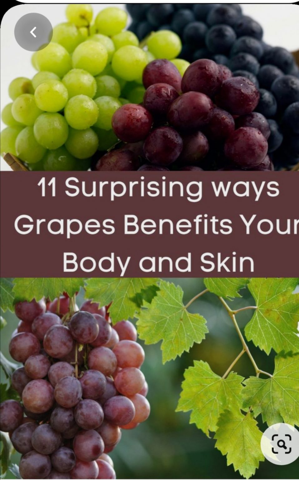11 Amazing Health Benefits of Consuming Grapes Daily Tinuolasblog