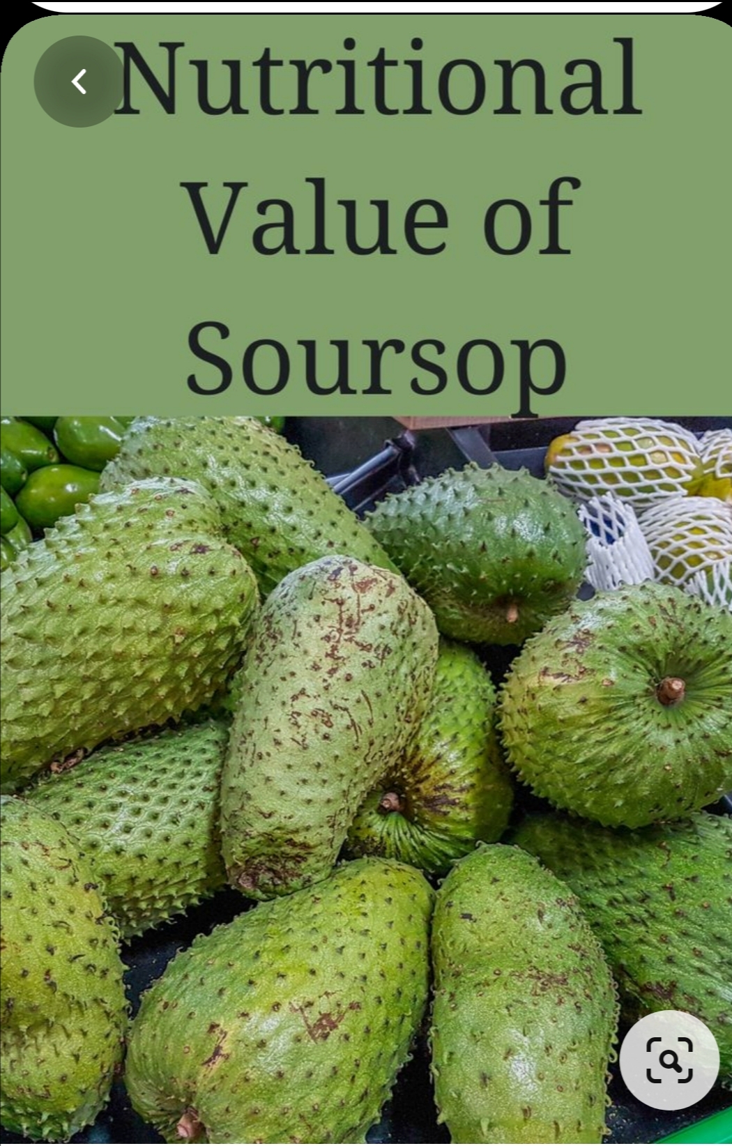 Soursop Nutritional Benefits of Soursop And How To Eat It Tinuolasblog