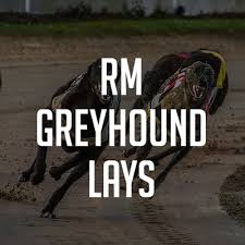 rm greyhound lays review