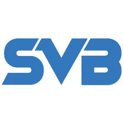 Who Are The Best Euro 2020 Tipsters svb tips