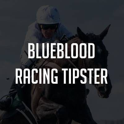 Blueblood Racing Tipster Review