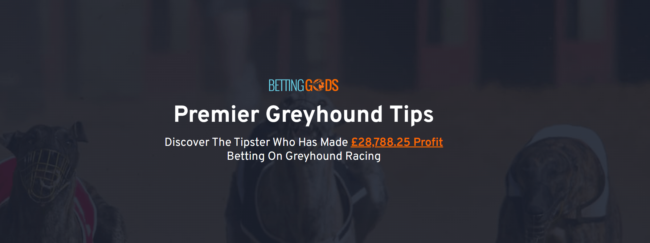 premier greyhound tips review