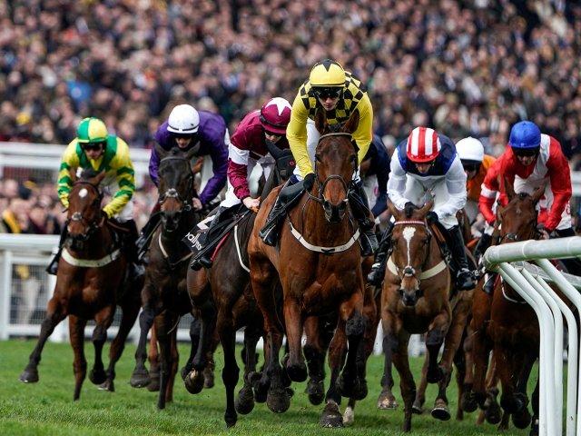 cheltenham festival 2023