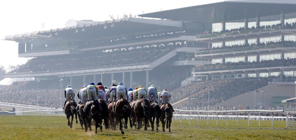 How to Pick a Winner at the Cheltenham Festival