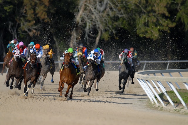 How to Find a Winning Horse in Handicap Races