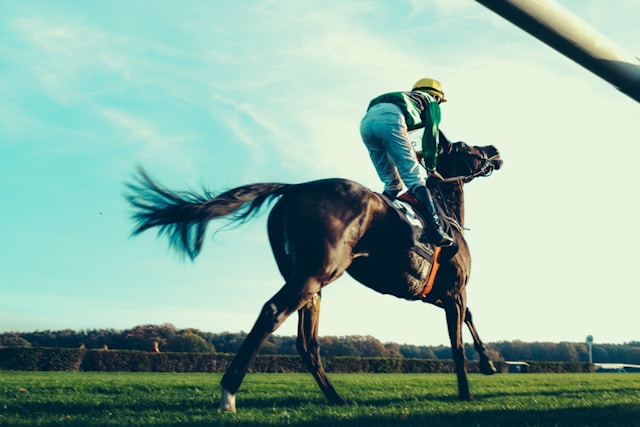 Finding the Best Horse Racing Tipsters